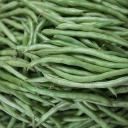 Green Beans (200 gr / 0.22lbs)