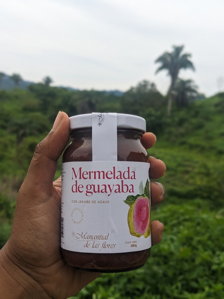 Mermelada de guayaba y miel de agave - (275 gr / 0.60lbs) -Manantial de las Flores