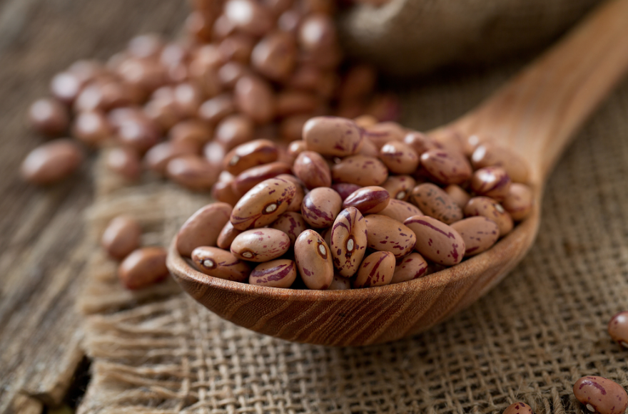 Frijol Pinto  (0.5 kg / 1.1lbs)  - Huerto del Carmen