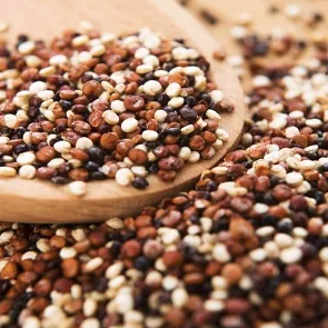 Quinoa tricolor (500gr/1.1lbss) Huerto del carmen