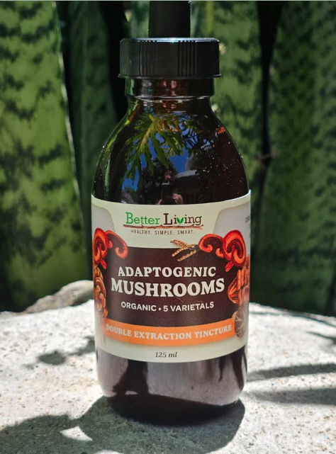 MUSHROOM TINCTURE 125 mL / 4.2 oz 