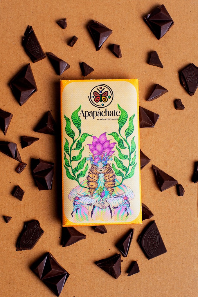 Barra de chocolate con jengibre 80% cacao (70g)