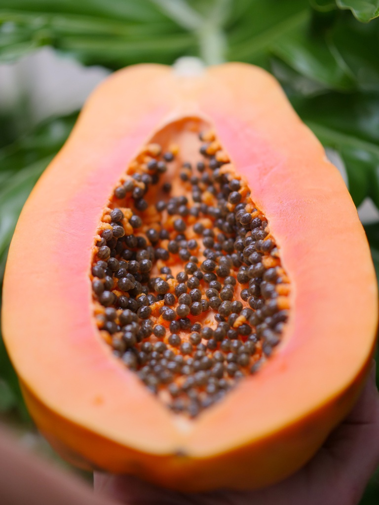 Papaya - ( pieza )