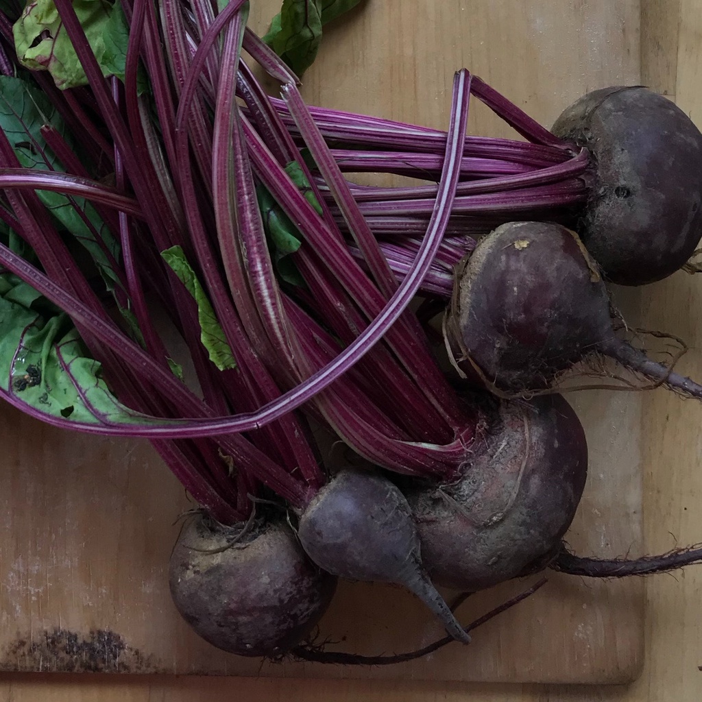 Betabel Morado (0.5k /1.1lbs) aprox 3 piezas