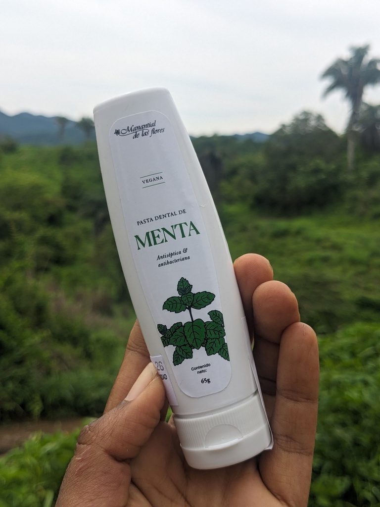 Mint toothpaste - (65 g)