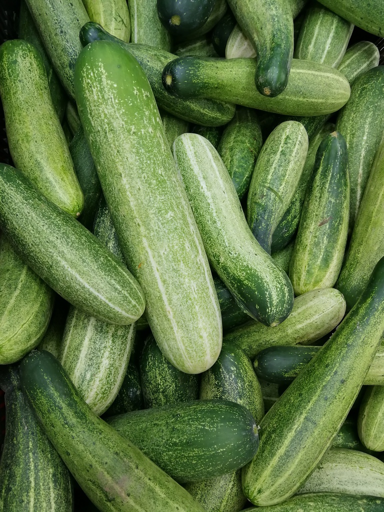 Cucumber (1 kg / 2.2lbs)