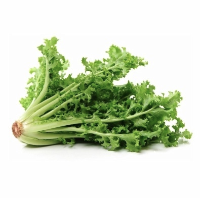 Escarole lettuce (Piece)