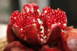 Granada roja (0.5 kg / 1.1lbs)