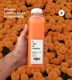 Jugo Zanahoria - Villa de Patos 500 ml