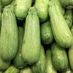 Zucchinni (500gr/1.1lbs) (3 pieces aprox)