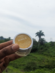 Arnica Ointment 30 gr