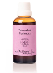 Doble extracto fluido de equinacea 50 ml  - Manantial de las Flores