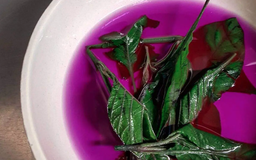 Muicle leaves for tea/ infusions- (50 gr / 0.11lbs)