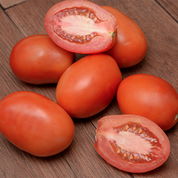 Roma Tomato (1 kg / 2.2lbs)