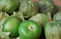 Tomate verde (500 gr / 1.1lbs)