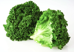 Green Leaf Lettuce (1 Pieza)